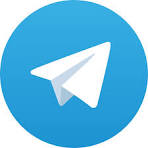24bettle Telegram Bot